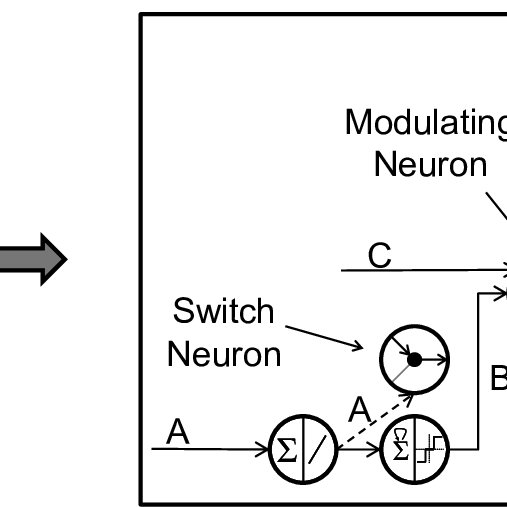 Network switch modules